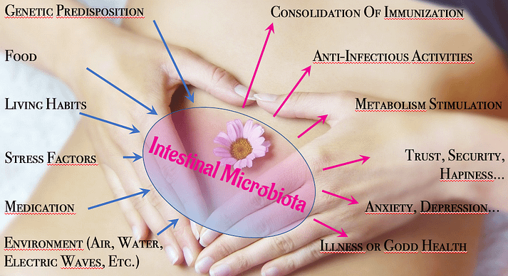 Intestinal Microbiota